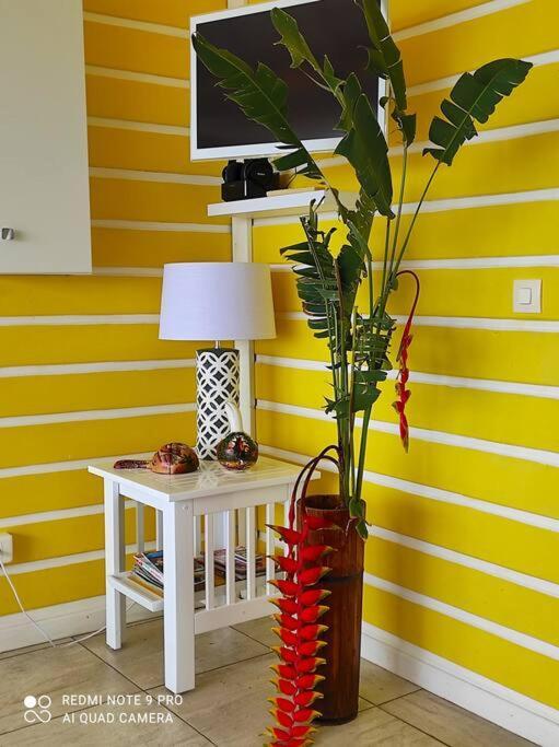 Bungalow Alnamaka : Vue Mer - Piscine - Plage A 5Mn 푸앵트-누아르 외부 사진